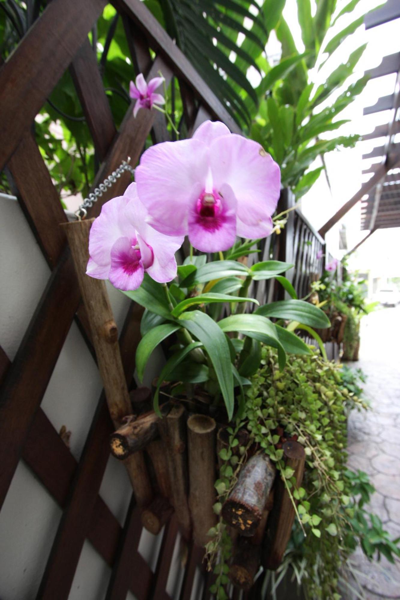 Chaba Place Hua Hin Exterior photo